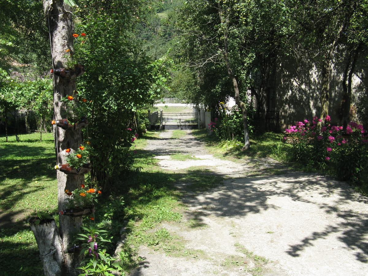 Ushba Hotel Mestia Exterior photo
